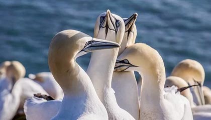 黔西最新怎么提现公积金卡里的钱方法分析(最方便真实的黔西怎么将公积金提现方法)