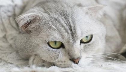 黔西最新公积金提取中介联系微信方法分析(最方便真实的黔西提取公积金的中介是如何操作的方法)