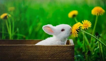 黔西最新上海松江高价回收公积金卡方法分析(最方便真实的黔西松江领公积金的地方方法)